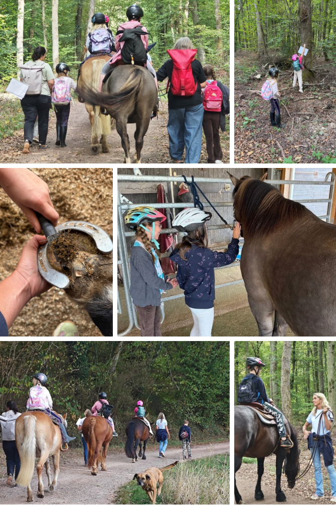 Abenteuer auf der Pferderanch