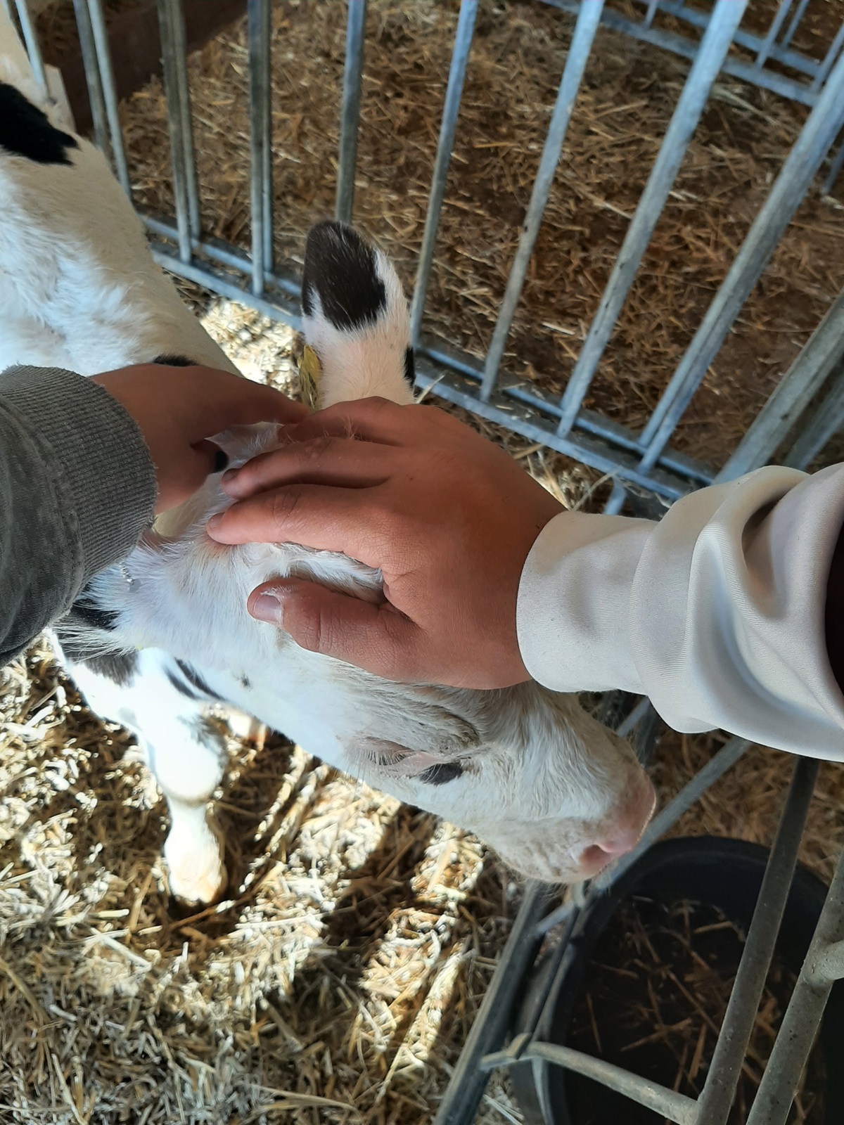 Betriebsbesichtigung Engelshof L9 Betriebsbesichtigung Engelshof L9