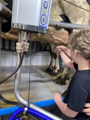 Klasse L1-3 auf dem Bauernhof