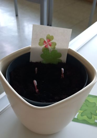 Tag des Buches - Klasse 1-3