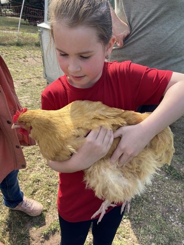 Klasse L1-3 auf dem Bauernhof