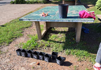 Bewegungsaktionstag am 02.10.2025