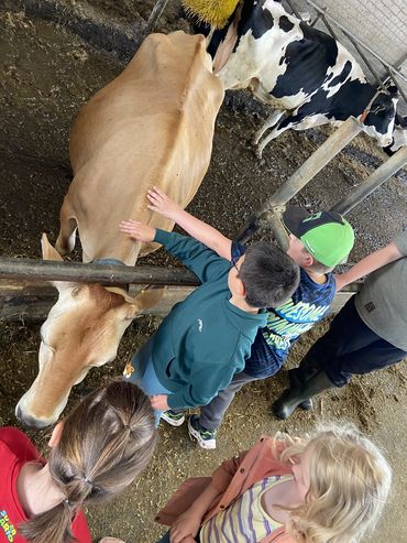 Klasse L1-3 auf dem Bauernhof