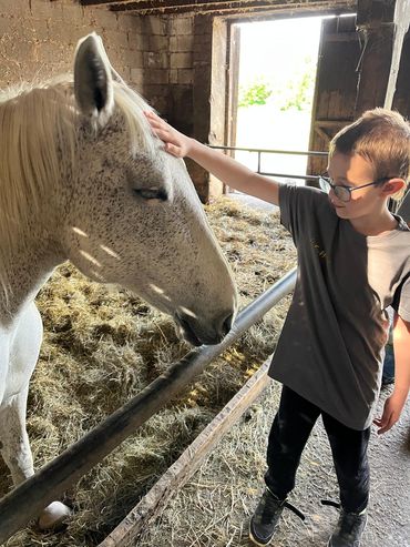 Klasse L1-3 auf dem Bauernhof