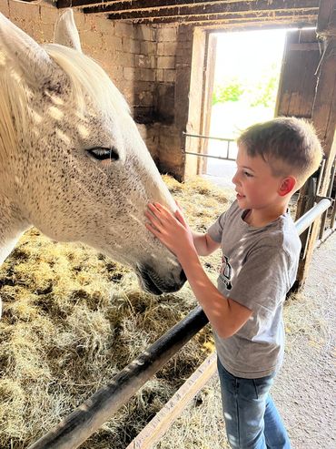 Klasse L1-3 auf dem Bauernhof