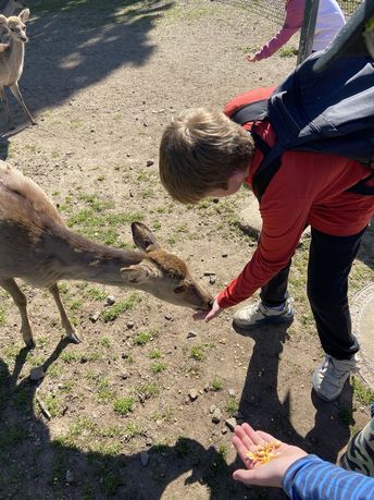 Ausflug in den Klotti-Park der L2-4